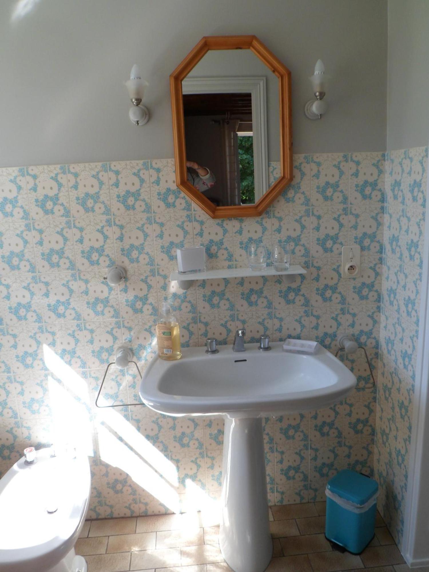 Domaine De La Helliere Hotel Lailly-en-Val ห้อง รูปภาพ