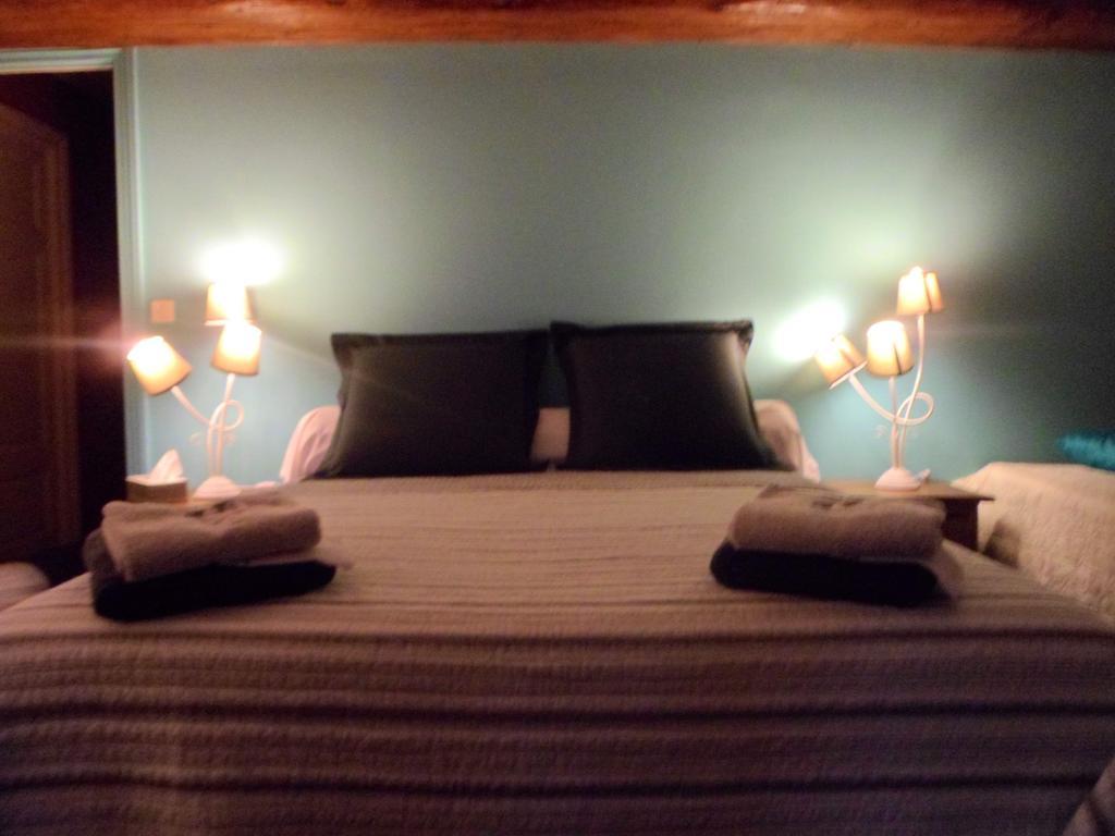 Domaine De La Helliere Hotel Lailly-en-Val ห้อง รูปภาพ