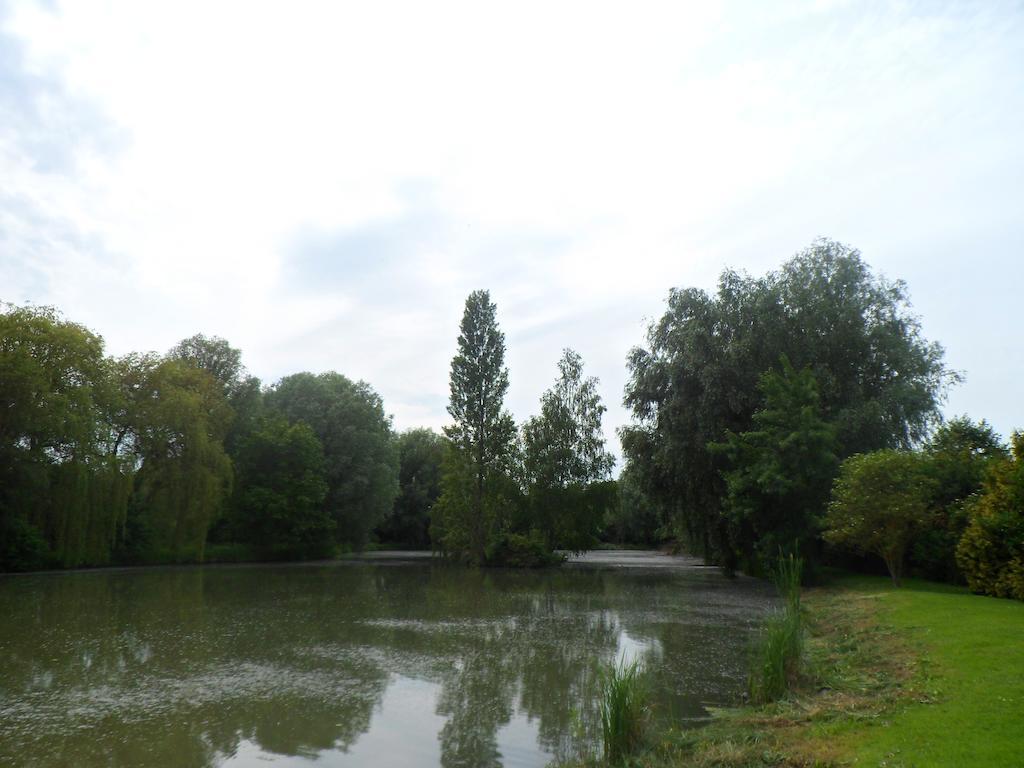 Domaine De La Helliere Hotel Lailly-en-Val ภายนอก รูปภาพ