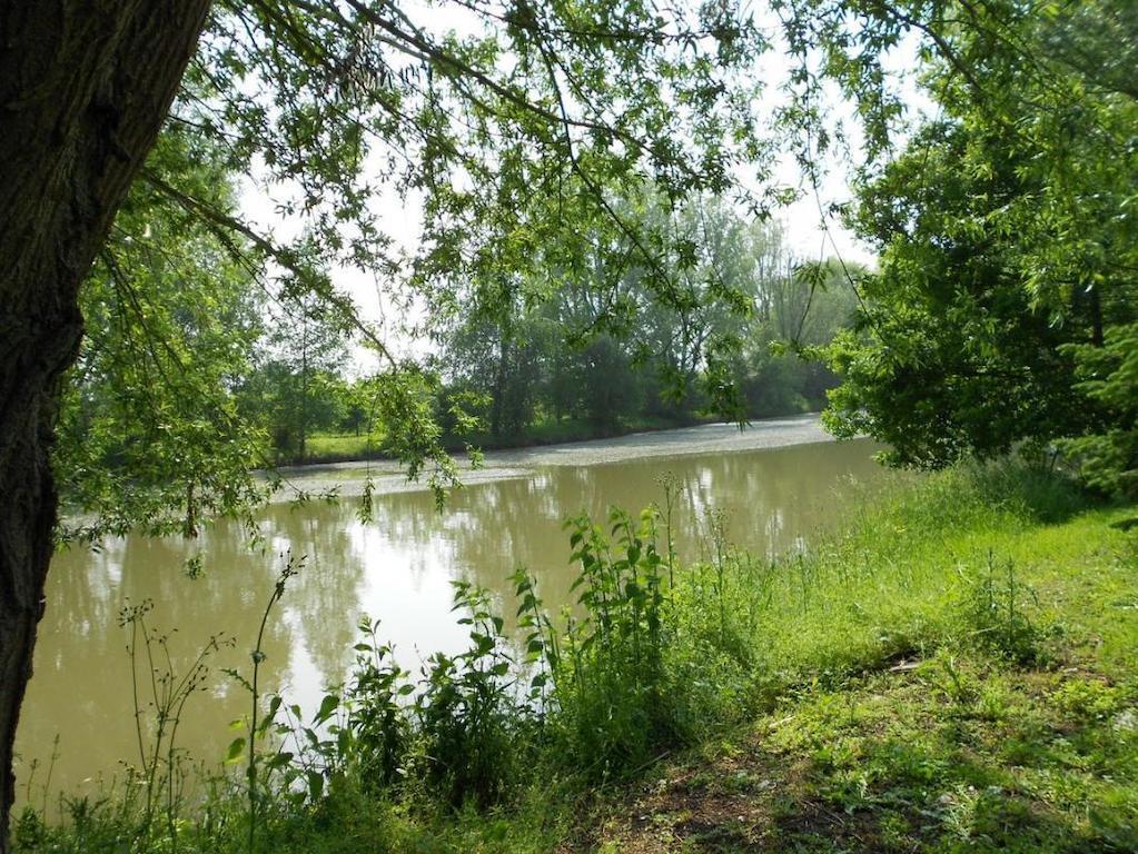 Domaine De La Helliere Hotel Lailly-en-Val ภายนอก รูปภาพ
